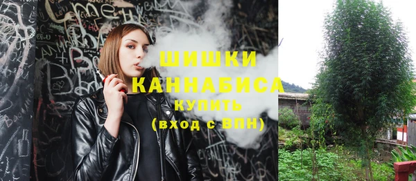 гашик Белоозёрский