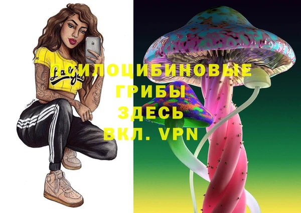наркотики Богородицк