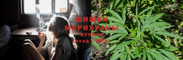 гашик Белоозёрский