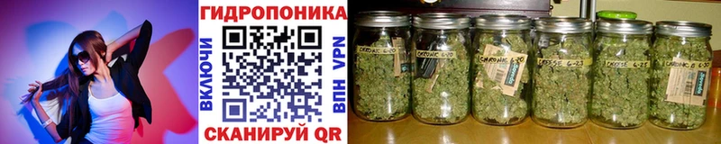 Марихуана сатива Белоярский